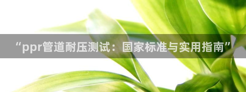 天辰娱乐招商