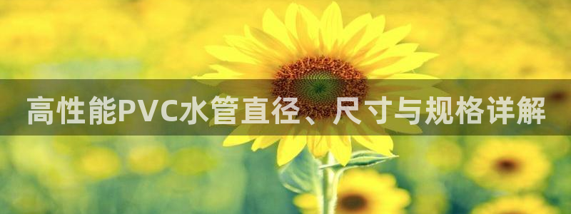 天辰娱乐测试