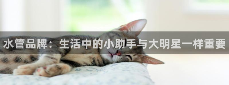天辰娱乐在线登录注册
