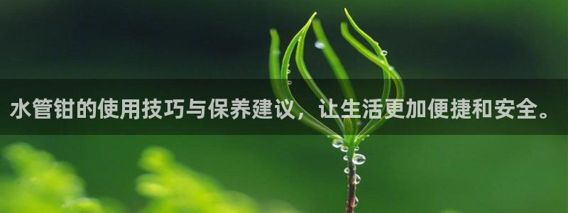 哈尔滨天辰娱乐