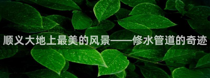天辰娱乐 231639