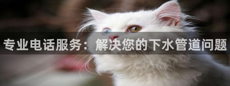 辰天娱乐