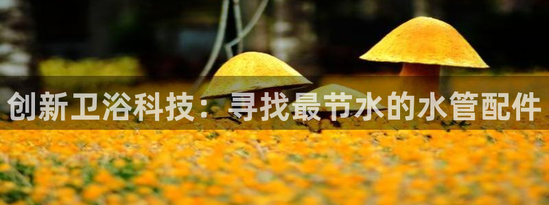 天辰娱乐简介