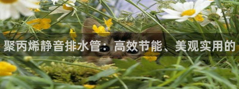 天辰娱乐 首选