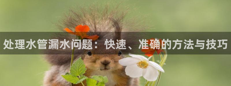 天辰娱乐新闻