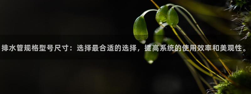 天辰娱乐十分彩