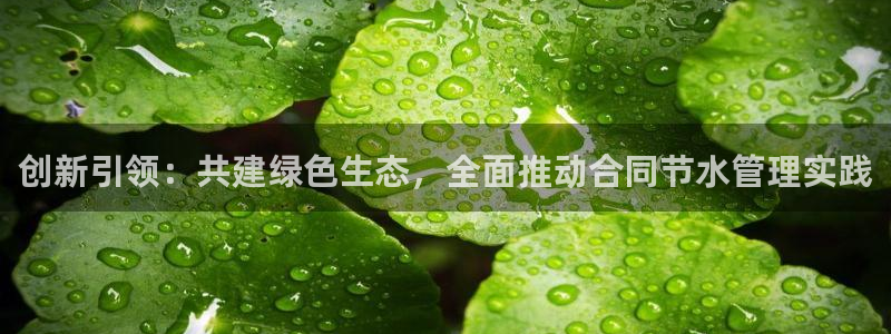 天辰娱乐股票