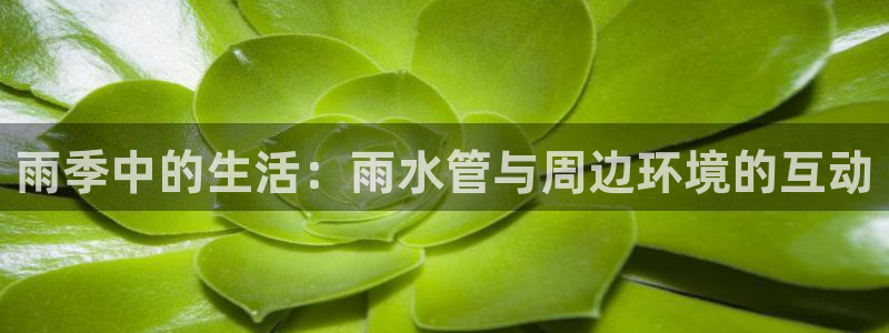 天辰a娱乐