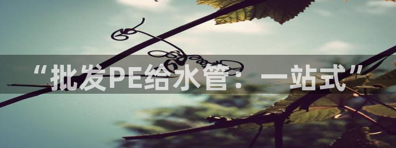 天辰在线娱乐