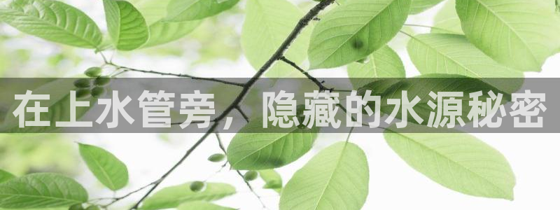 天辰娱乐软件