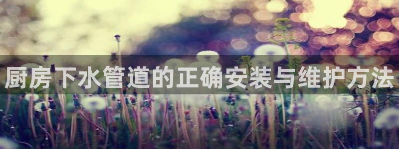 天辰娱乐1980