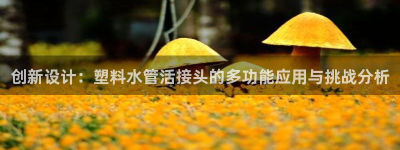 天辰水娱乐