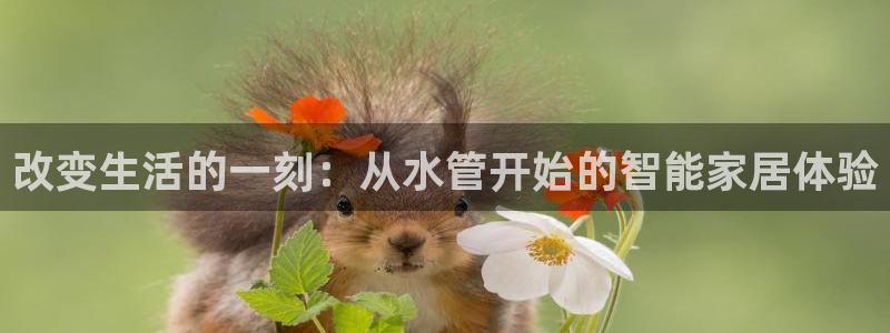 天辰娱乐娱乐平台
