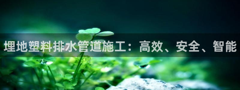 天辰娱乐集团
