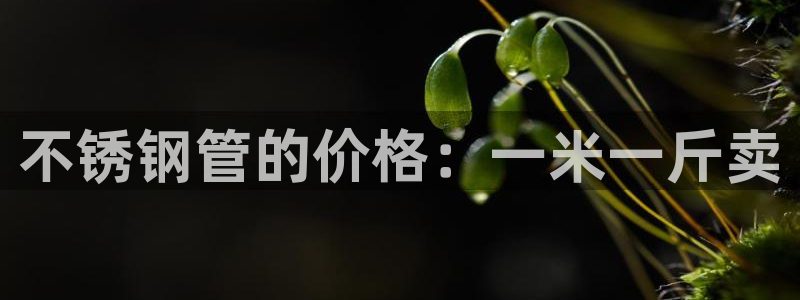 天辰娱乐平台