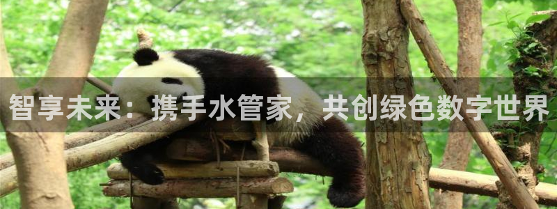 天辰娱乐新闻
