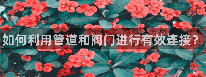 天辰娱乐网址娱乐游戏