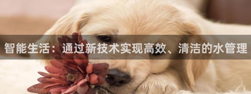 天辰娱乐跑的快