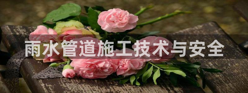 天辰娱乐登录测试