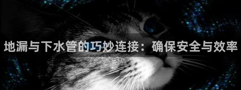 天辰娱乐在哪