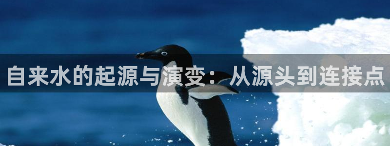 天辰娱乐小妹