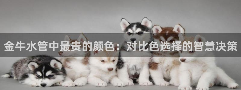 天辰辰娱乐代理