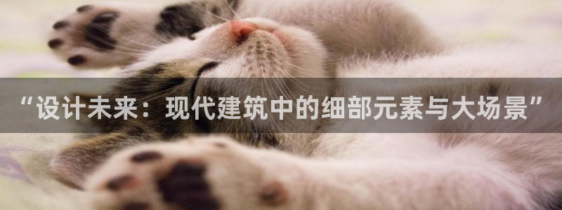 天辰娱乐平台靠谱么