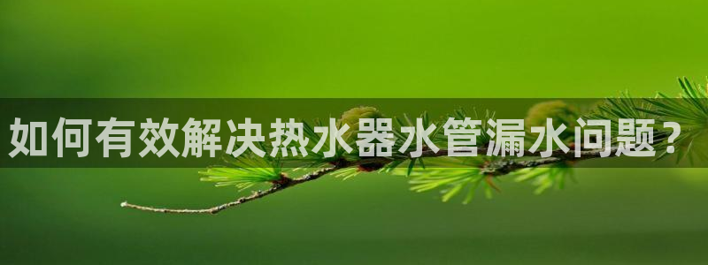 集宁天辰娱乐