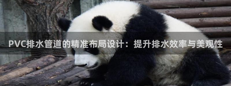 天辰a娱乐