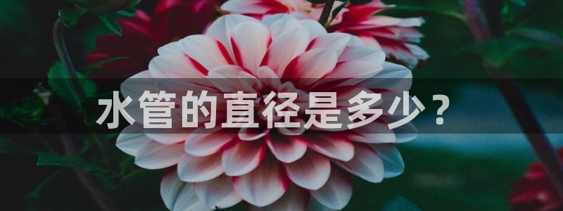 天辰娱乐官方