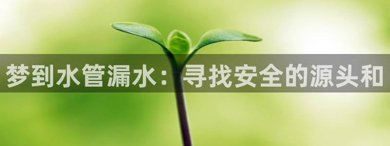 天辰娱乐登陆