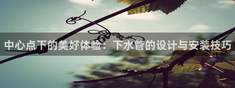 天辰娱乐51137
