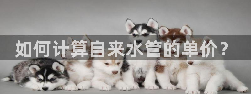 天辰娱乐电话