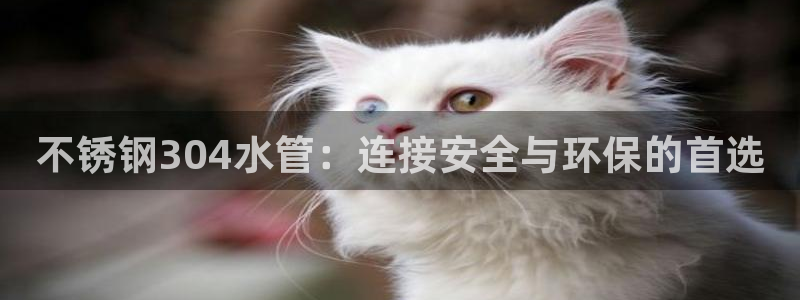天辰娱乐台湾