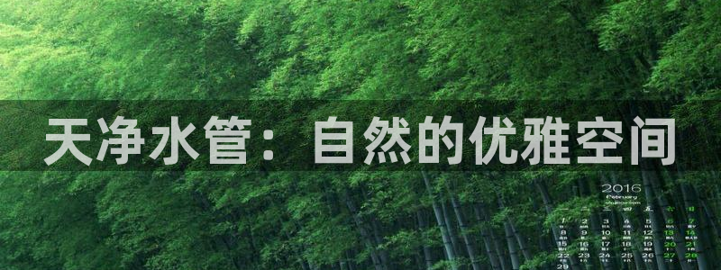 天辰娱乐957807