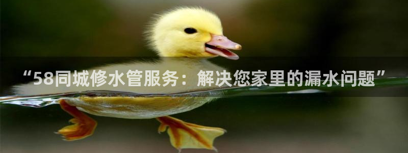 天辰娱乐所