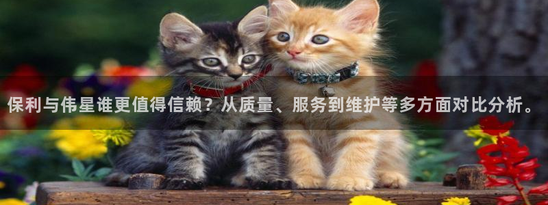 天辰娱乐电话