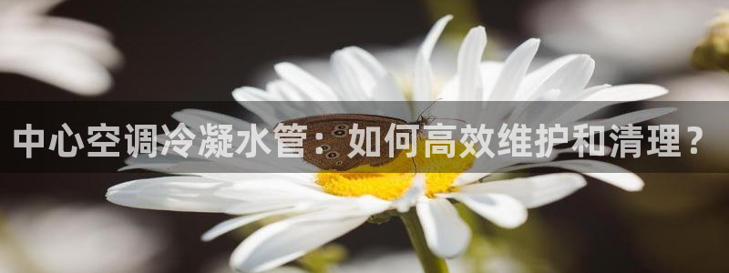 天辰娱乐appxi