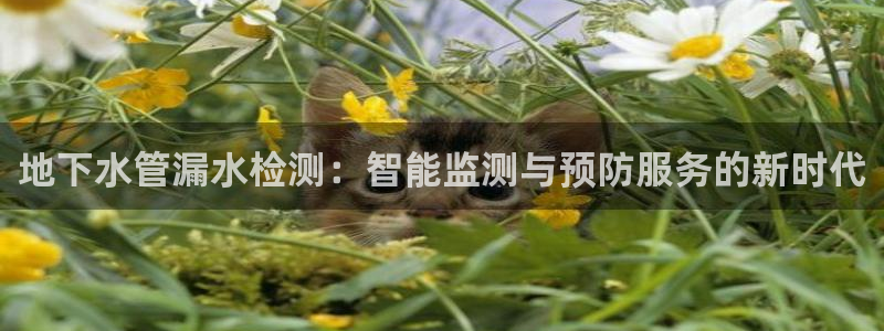 常州天辰娱乐