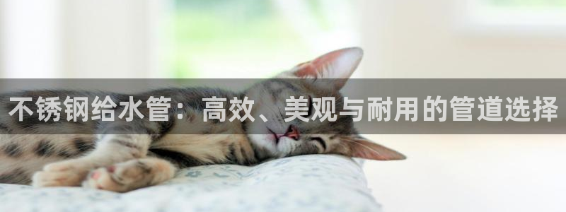 天辰娱乐文化