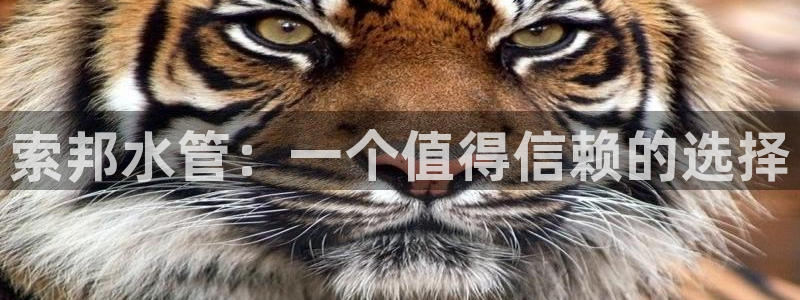 天辰娱乐解封