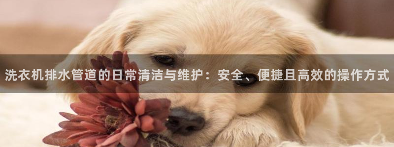 天辰娱乐代理