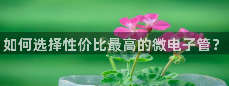 天辰娱乐游客