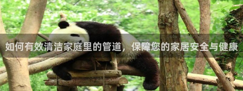 天辰娱乐海洋