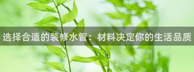 天辰娱乐平台地址
