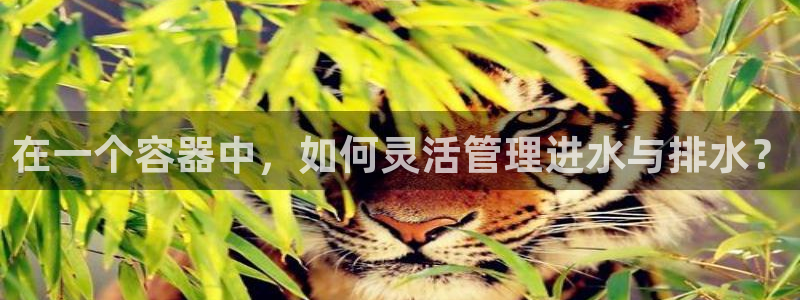 天辰娱乐代理