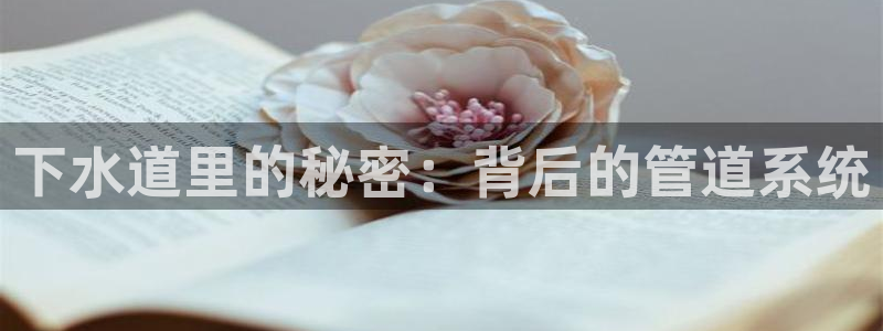 天辰娱乐 天辰平台