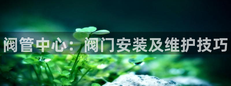 天辰娱乐1956