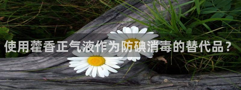 天辰娱乐44516