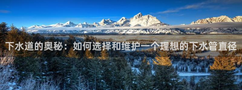 天辰娱乐海洋